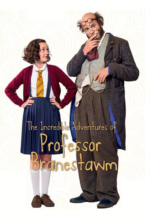 The Incredible Adventures of Professor Branestawm — постер