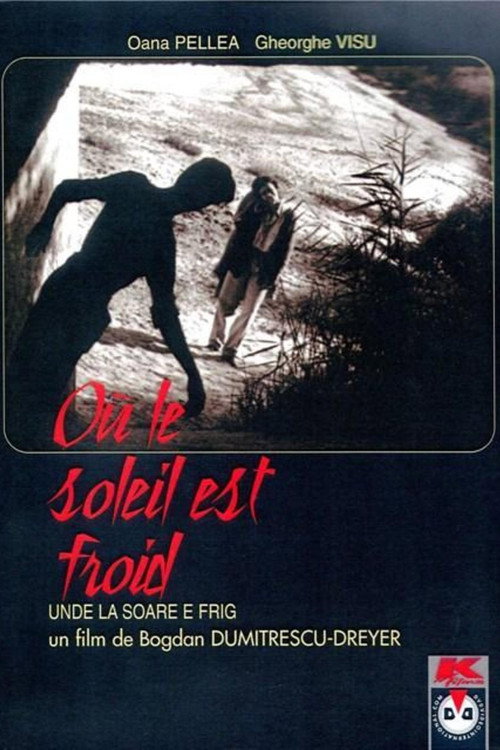 Unde la soare e frig — постер