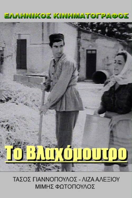 Πράκτωρ Κίτσος καλεί Γαστούνη — постер