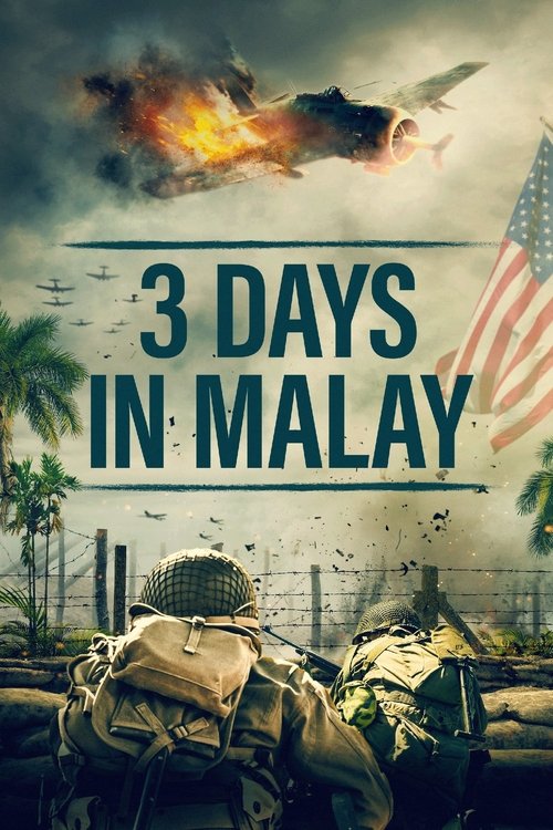 3 Days in Malay — постер