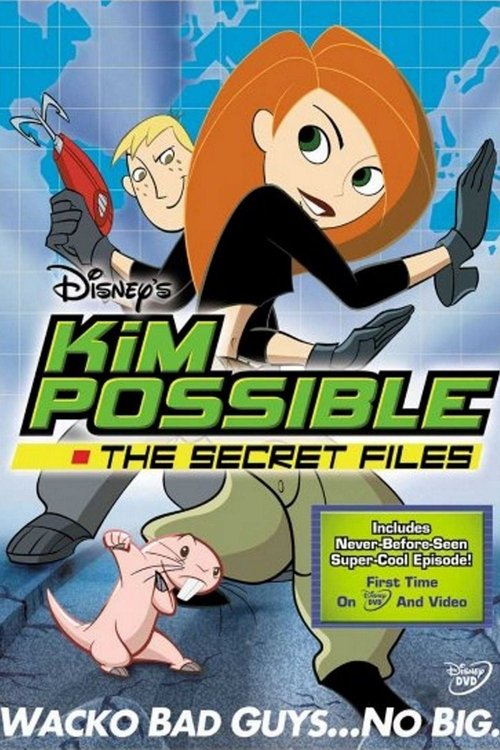 Kim Possible: The Secret Files — постер