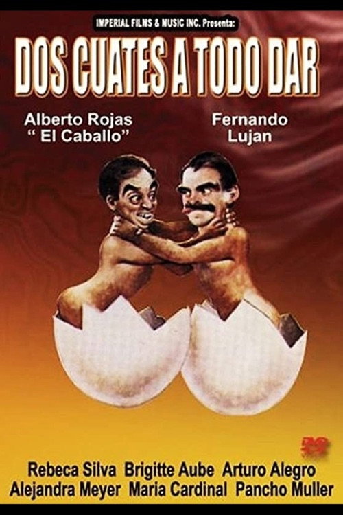 Dos cuates a todo dar — постер