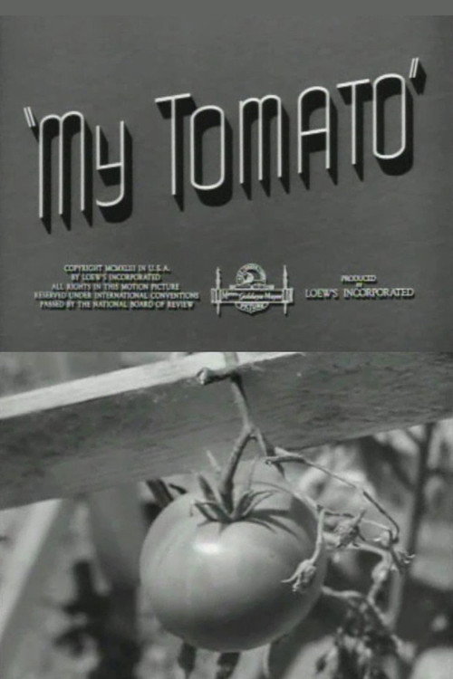 My Tomato — постер