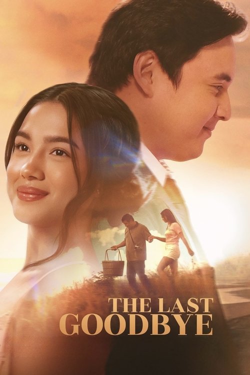The Last Goodbye — постер