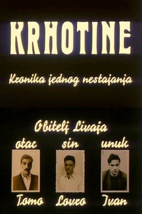 Krhotine — постер