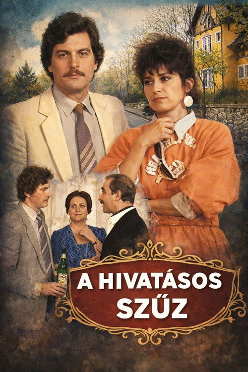 A hivatásos szűz — постер