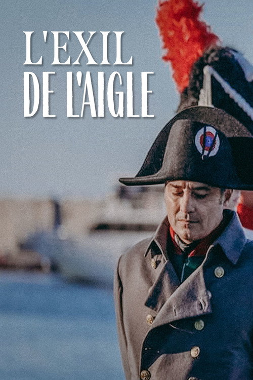 L'esilio dell'aquila — постер
