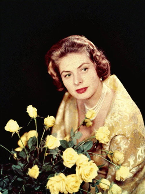 All Star Tribute to Ingrid Bergman — постер