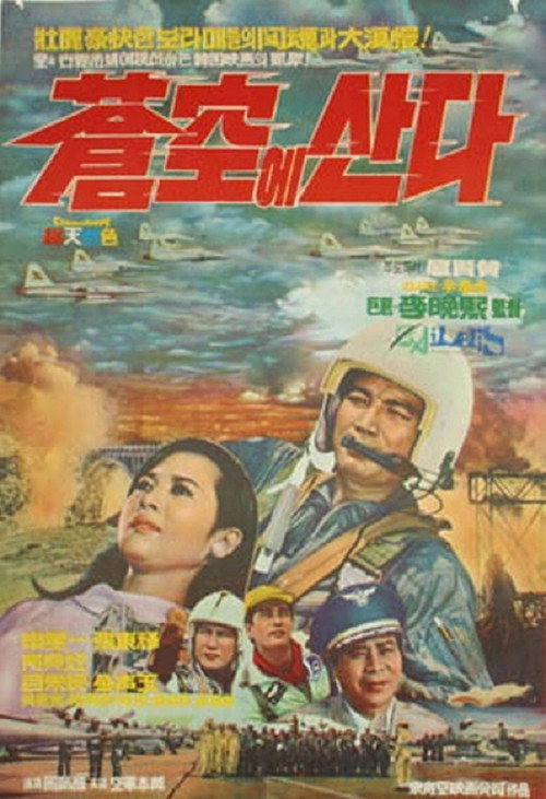창공에 산다 — постер
