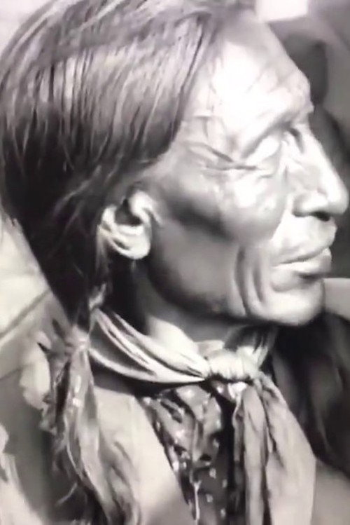 Buffalo Bill and Chief Iron Tail Swap Yarns in the Sign Language — постер