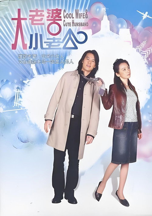 大老婆小老公 — постер