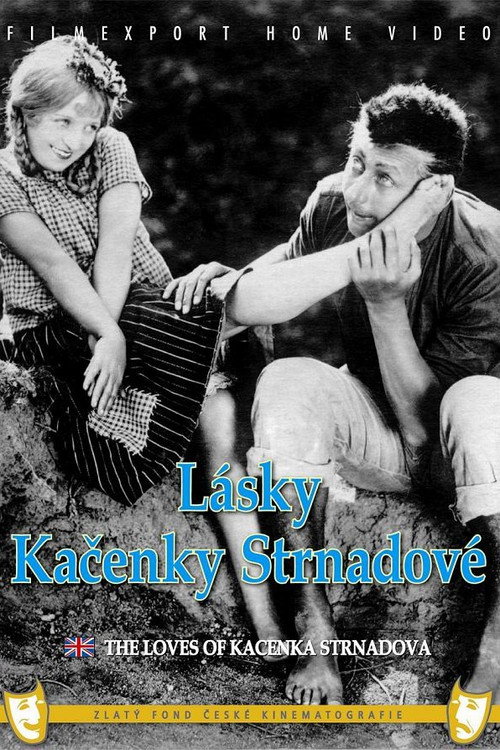 Lásky Kačenky Strnadové — постер