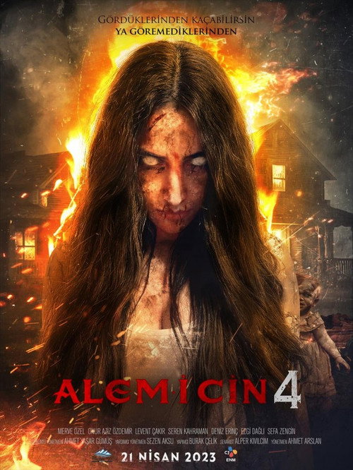 Alem-i Cin 4 — постер