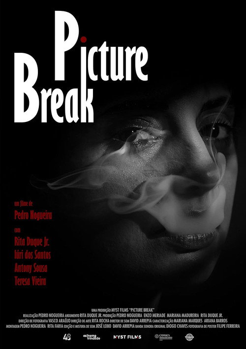 Picture Break — постер