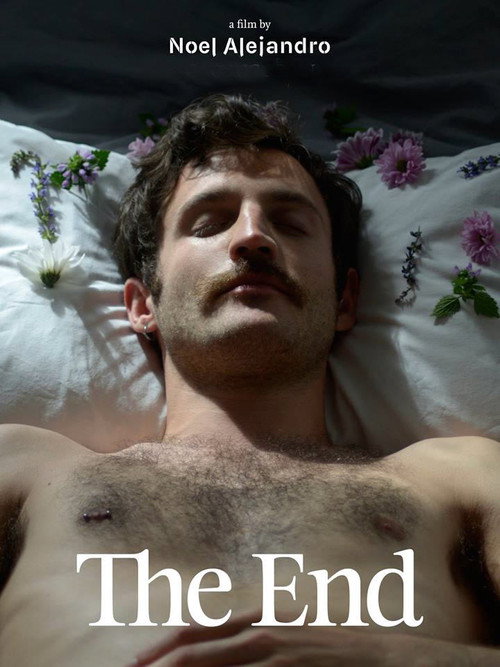 The End — постер