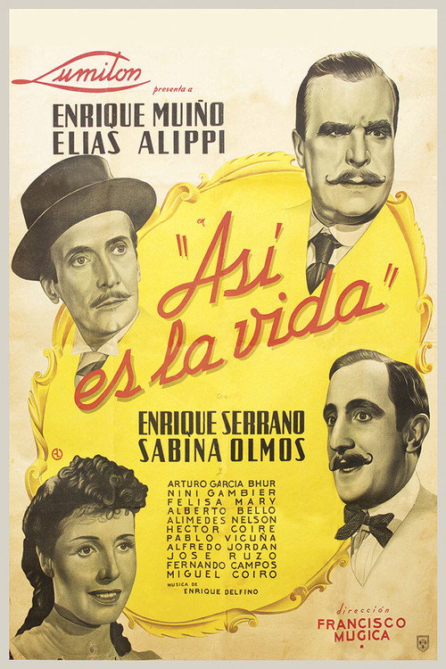 Así es la vida — постер