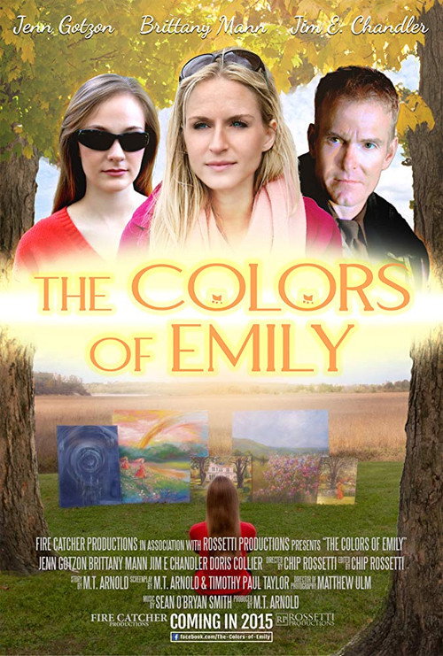 The Colors of Emily — постер