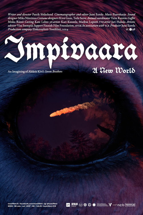 Impivaara — постер