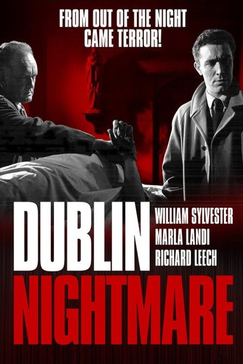 Dublin Nightmare — постер