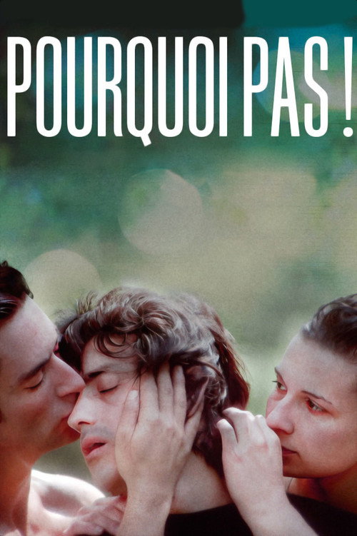 Pourquoi pas ! — постер