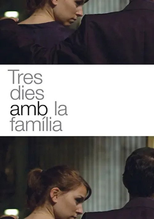 Tres dies amb la família — постер