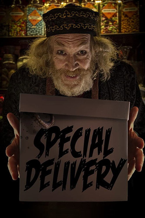 Special Delivery — постер