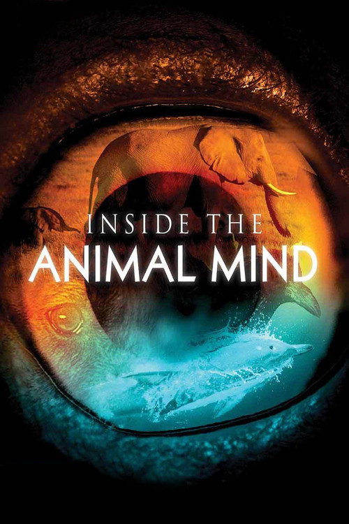 Inside the Animal Mind — постер