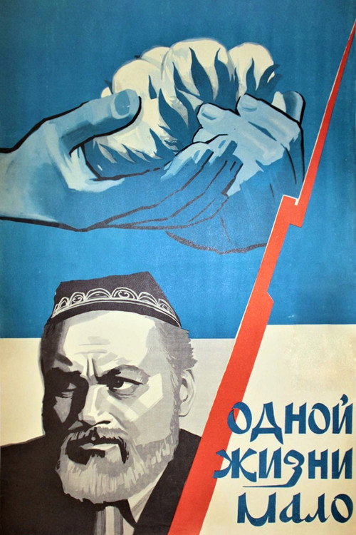 Одной жизни мало — постер