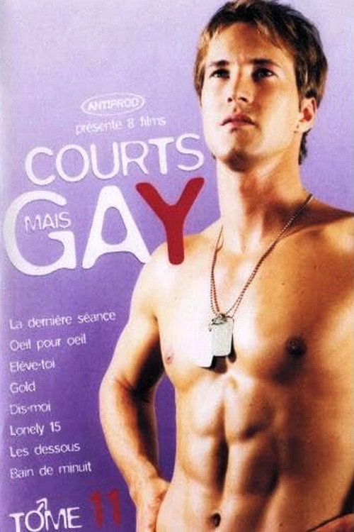 Courts mais Gay : Tome 11 — постер