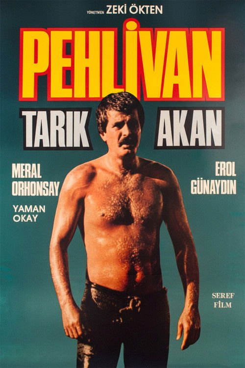 Pehlivan — постер