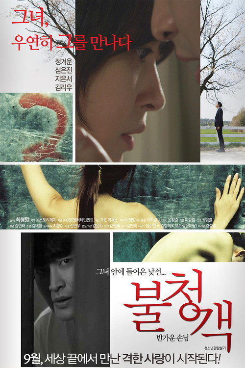 불청객: 반가운 손님 — постер