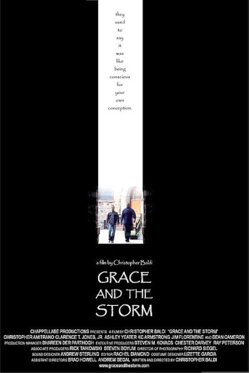 Grace And The Storm — постер