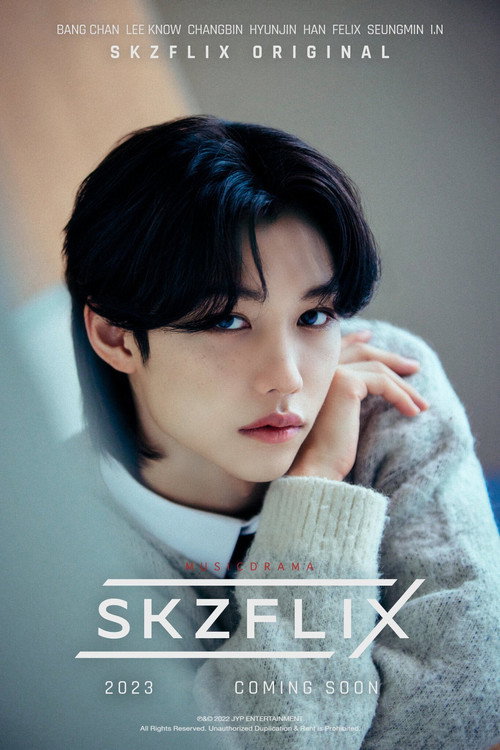 SKZFLIX (樂-STAR) — постер