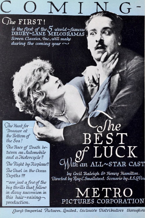 The Best of Luck — постер