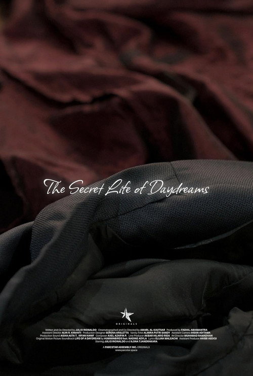 The Secret Life of Daydreams — постер