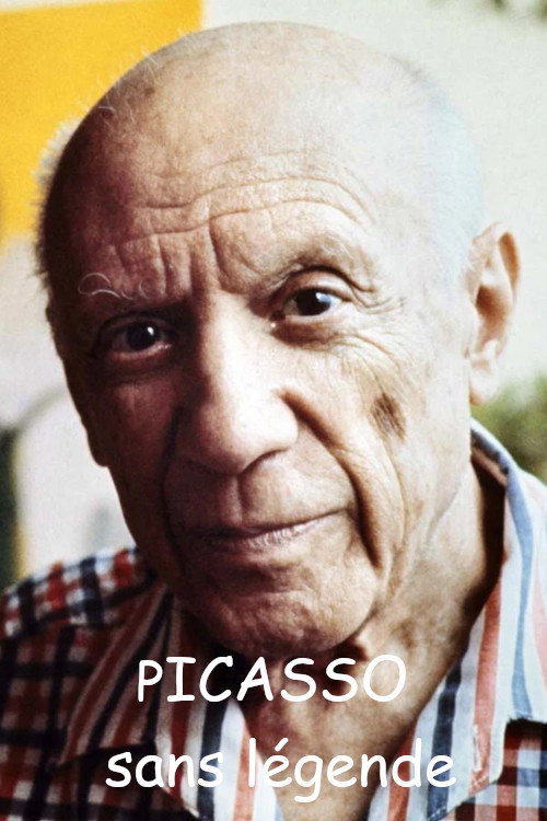 Picasso sans légende — постер