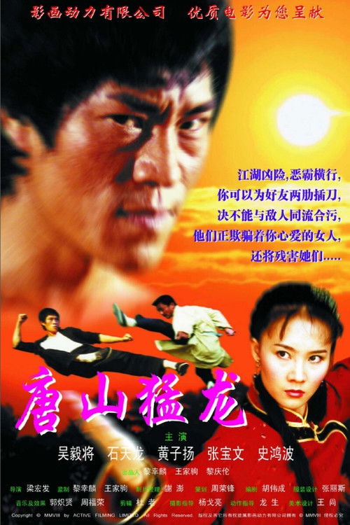 戰龍 2 — постер