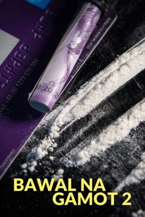Bawal Na Gamot 2 — постер