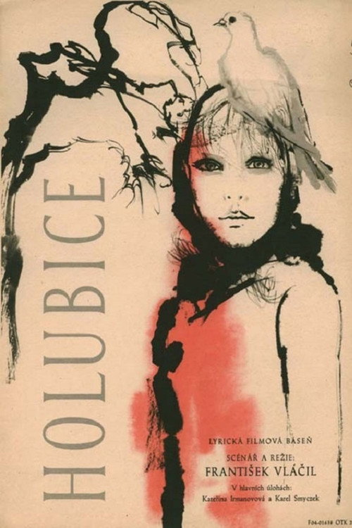 Holubice — постер