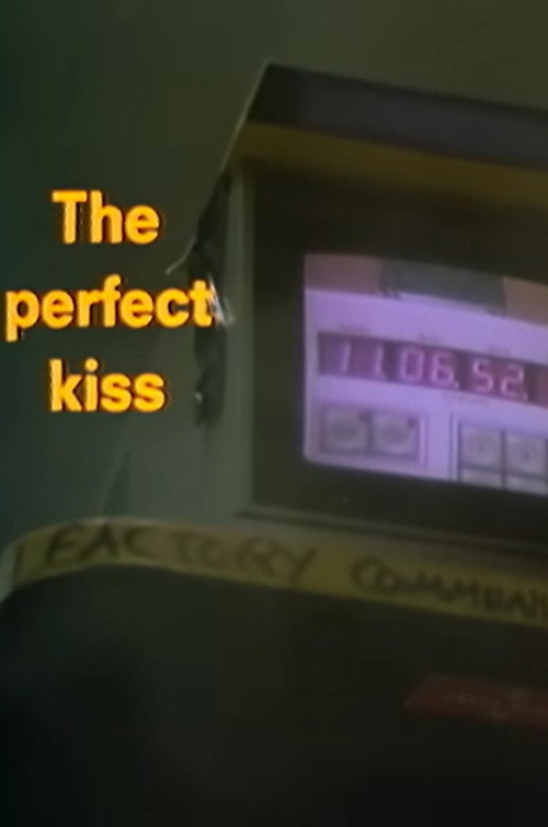 The Perfect Kiss — постер