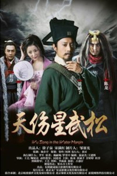 天伤星武松 — постер