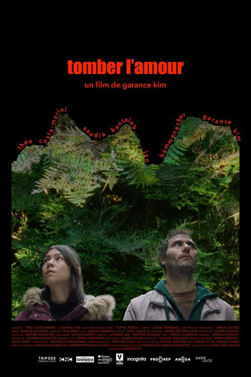 Tomber l'amour — постер