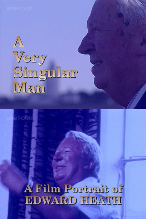 A Very Singular Man — постер