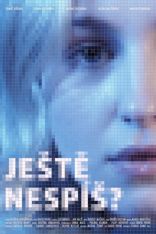 Ještě nespíš? — постер