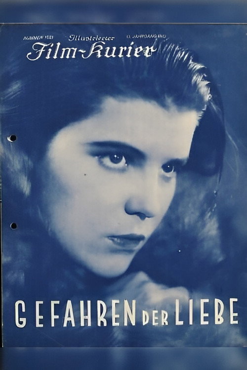 Gefahren der Liebe — постер