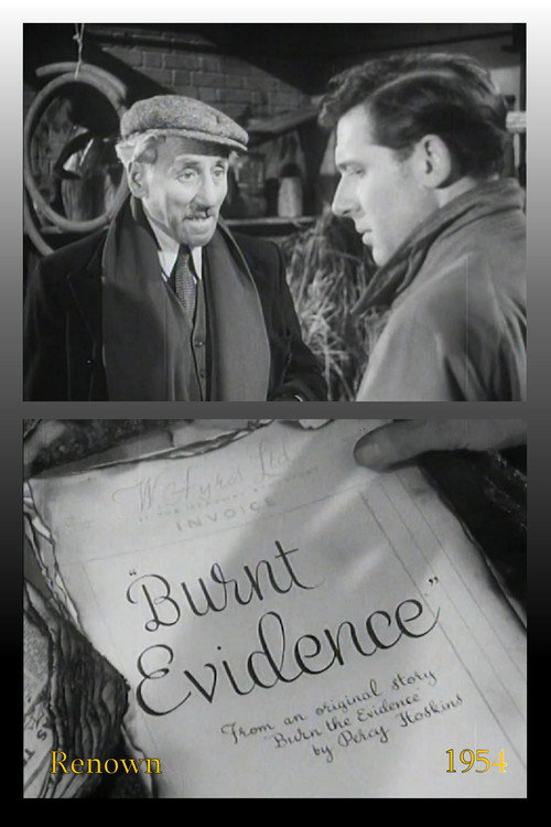 Burnt Evidence — постер