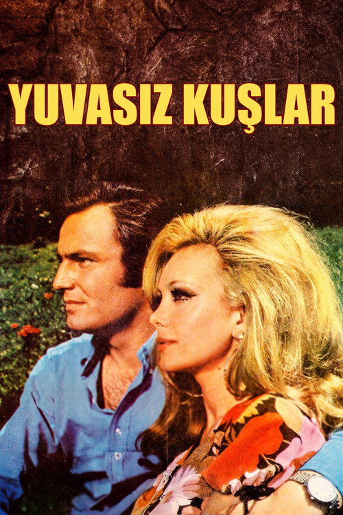 Yuvasız Kuşlar — постер