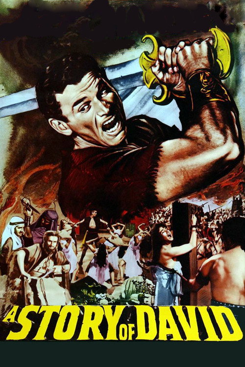 A Story of David — постер