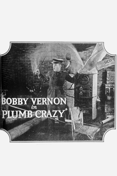 Plumb Crazy — постер
