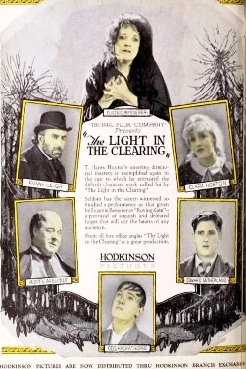 The Light in the Clearing — постер